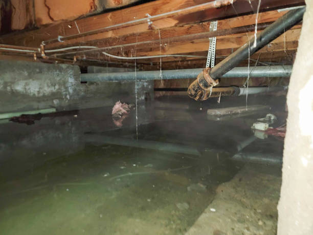 Best 24-hour water damage restoration  in Bonnetsville, NC