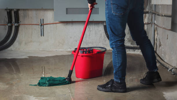 Best Flood damage cleanup  in Bonnetsville, NC