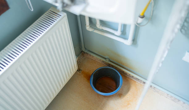 Best Water damage restoration specialists  in Bonnetsville, NC