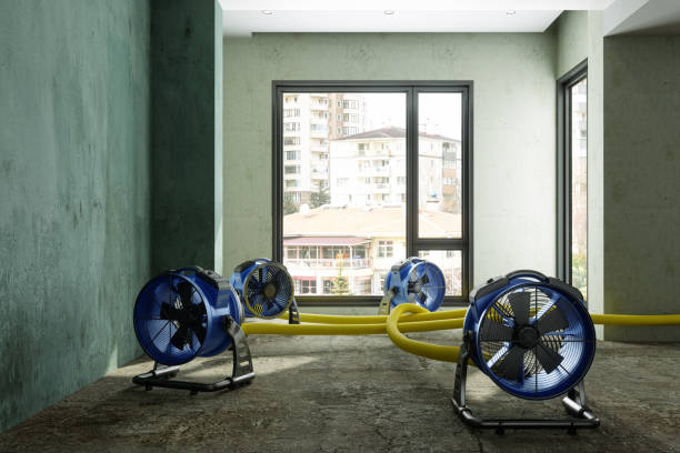 Water damage restoration experts in Bonnetsville, NC