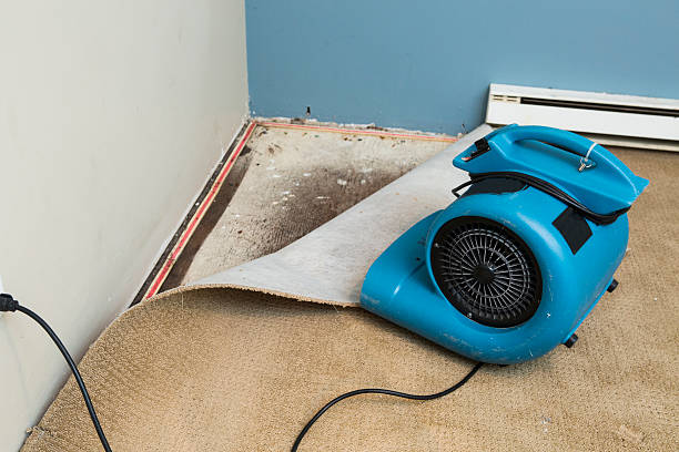 Best Fire Damage Restoration  in Bonnetsville, NC
